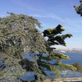Mustafay23