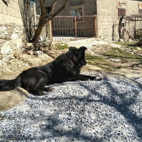 denizkızı09