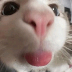 jupiterineylulu