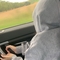 anonimn55