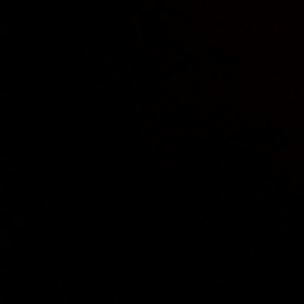 saviorangel212