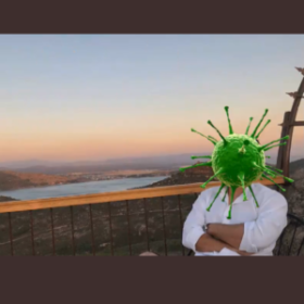 tolgaizmirli