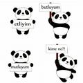 ADAAKAY
