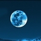 vysel_akts