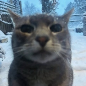illdienextwinternj