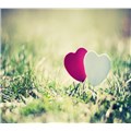 cnyt24