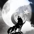 gazihaydut