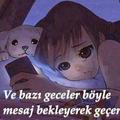 sevdimneoldum