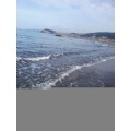 okulyolu2002