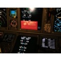 Flaps25then30