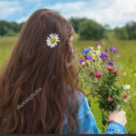 ndaisy16