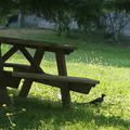 BLUENGİNEER