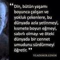 44haydar