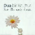 Meleimm