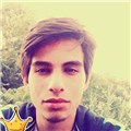 TheGuitarist
