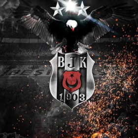 Bir_Mersinli