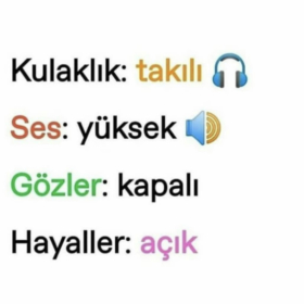 Lisesonlukız