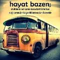 çılgıngezgin
