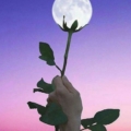feministin_biri