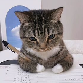 atanamadımçoksıcaktı