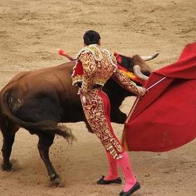 MaTaDoRSharkk