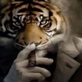 6_sıradanadam_7
