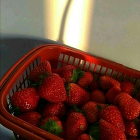 müzikkutusuaşığı