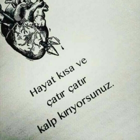 betüllll455