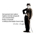 sabmer99