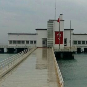 kuzi60
