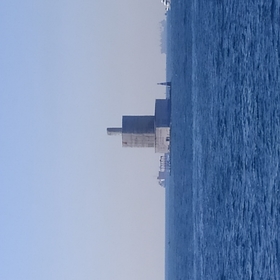 mucar44