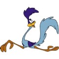 RoadRunner26