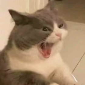 minnakbiroguz