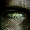 Reptilian