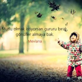 ecemsu443