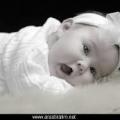 sexi_fare