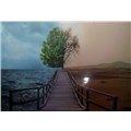 TheDengesizz