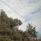 keslan_