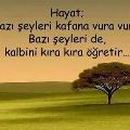 Sevdanasevdalandim