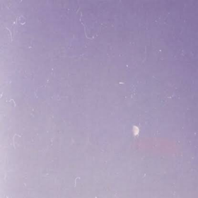 pnkgrl