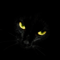 NightsWorld