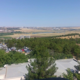 muratkayahgvh