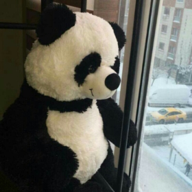 meeleyenkopek