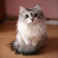 littleladybug122