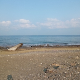 Damla3123