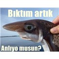 OzanArifKURT