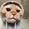 feljcty