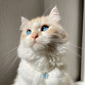 blue_keddy