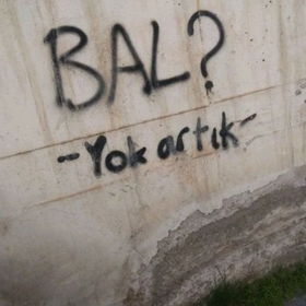 ogicaninbalikcigi