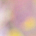 wampir1